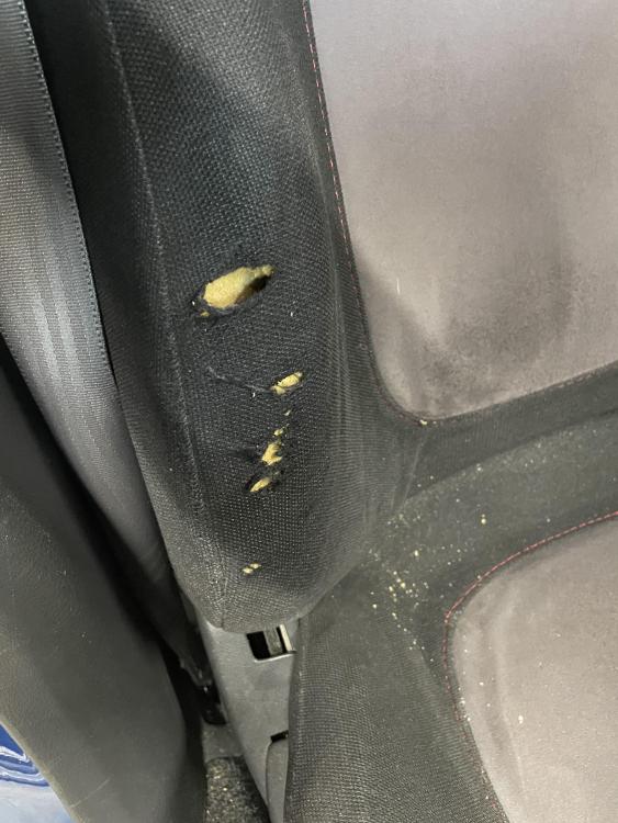 Subaru drivers seat 2.jpg
